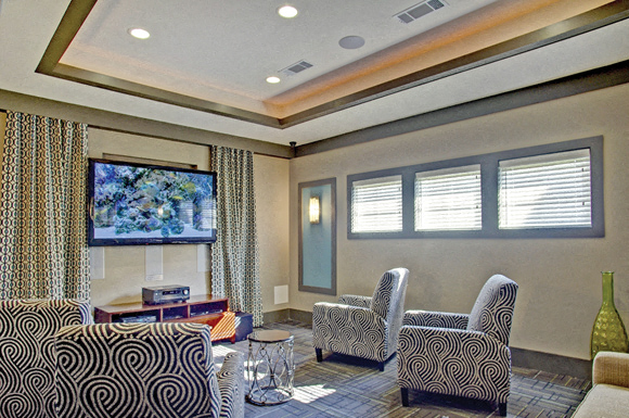 Movie Theater with Flat Screen TV