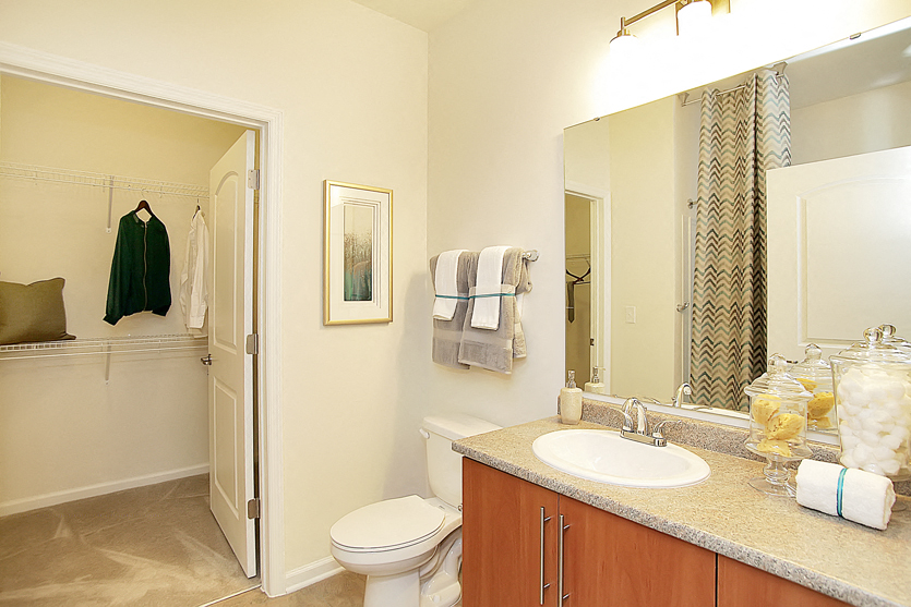 Bathroom with sink, toilet, shower and tub; access to walk-in closet