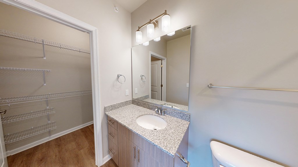 a bathroom with a sink and a mirror and a shower