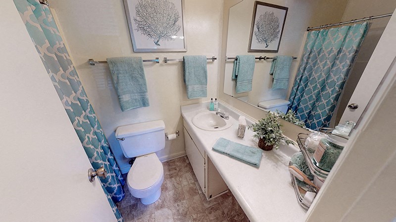 a bathroom with a blue shower curtain and a toilet and a sink