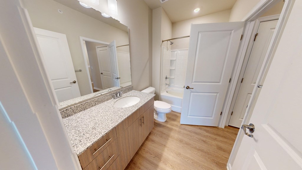 a bathroom with a sink and a toilet