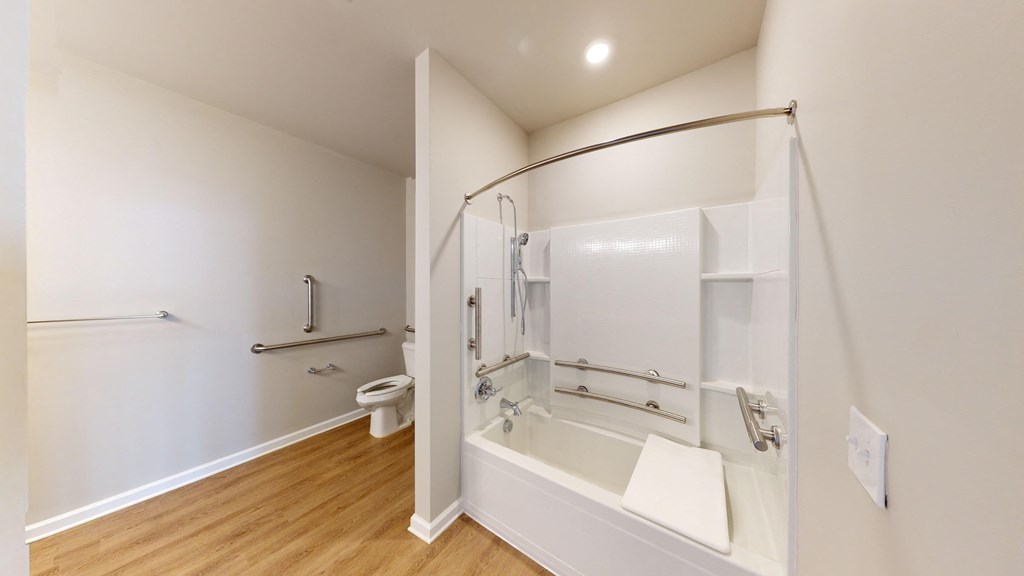 a bathroom with a tub and a shower and a toilet