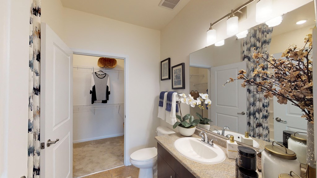 Bathroom with sink, toilet, shower and tub; door to walk-in closet