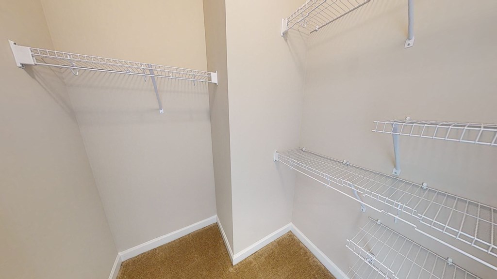 Walk-In Closet with multiple shelves
