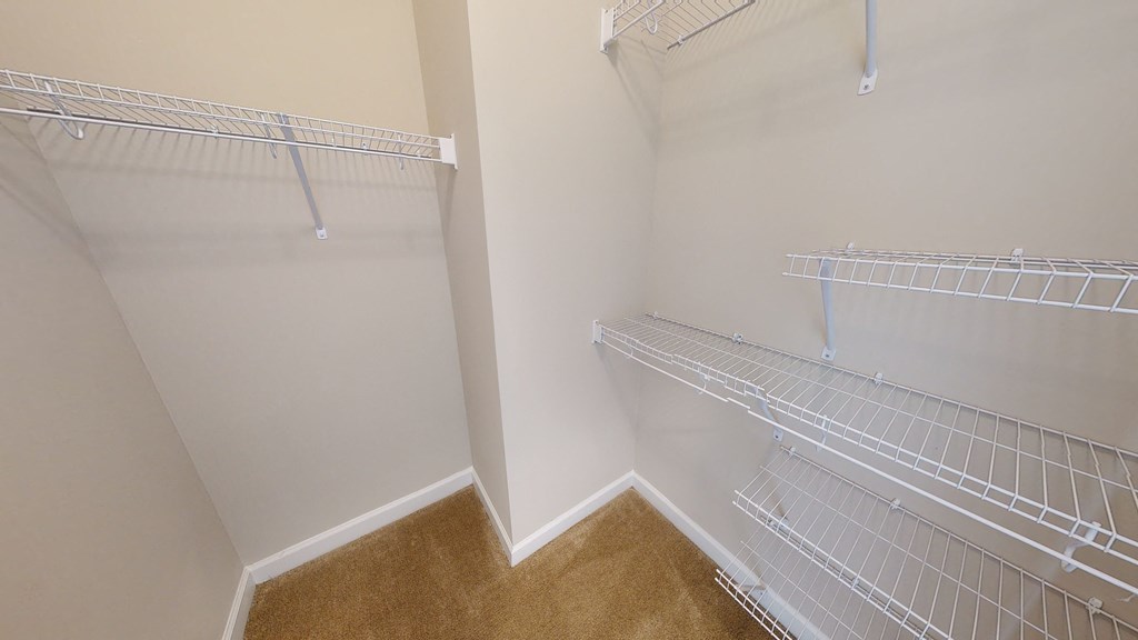 Walk-In Closet with multiple shelves