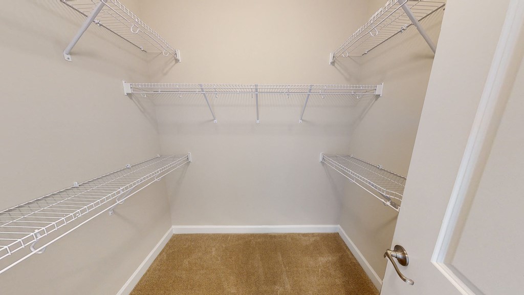 Walk-In Closet with multiple shelves