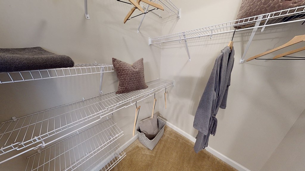 Walk-In Closet with multiple shelves