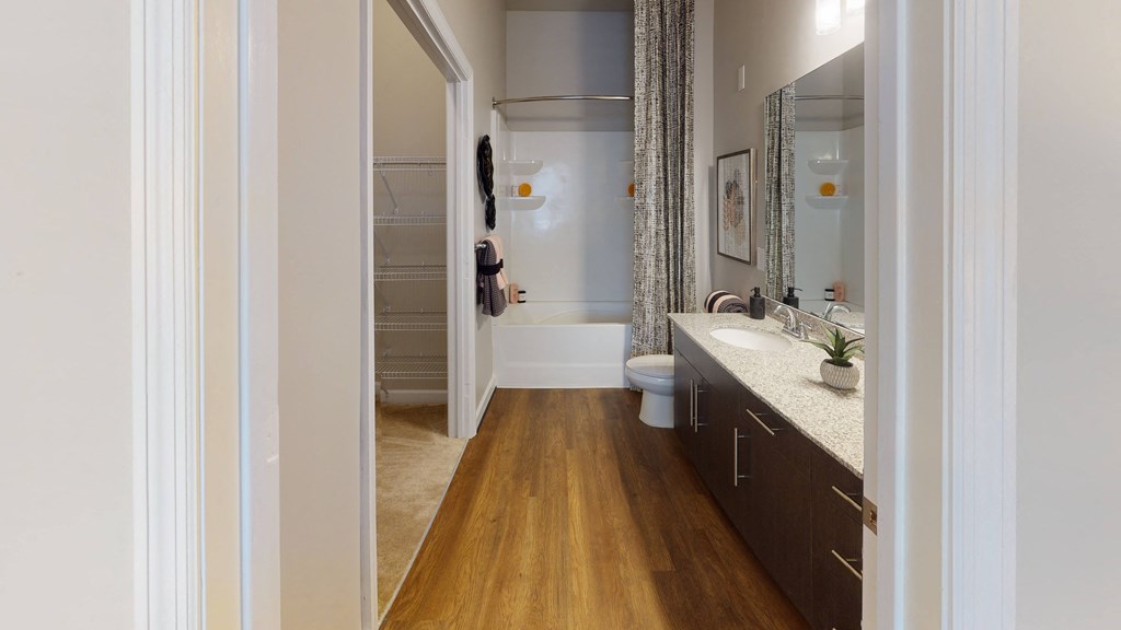 Bathroom with sink, toilet, shower and tub; walk-in closet