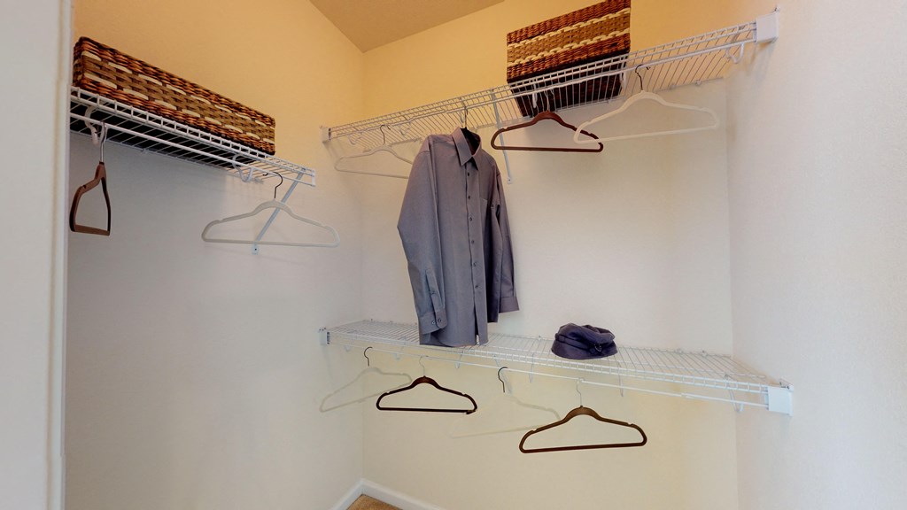 Walk-In Closet with multiple shelves