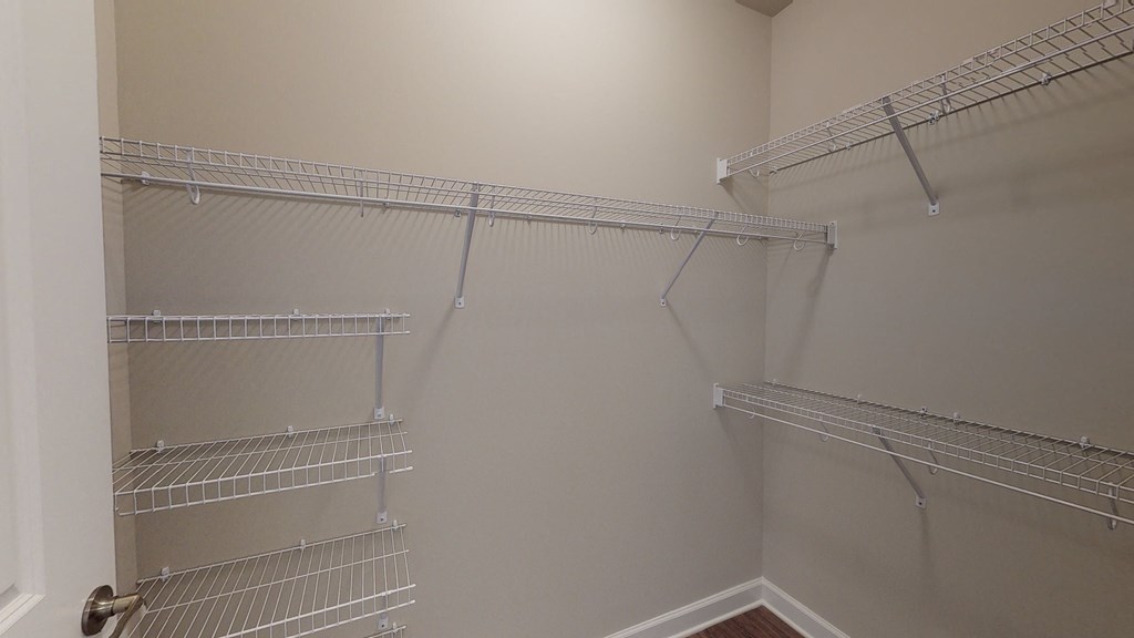Walk-In Closet with multiple shelves