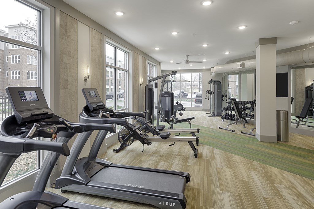 Fitness center with cardio and resistance training equipment; free weights