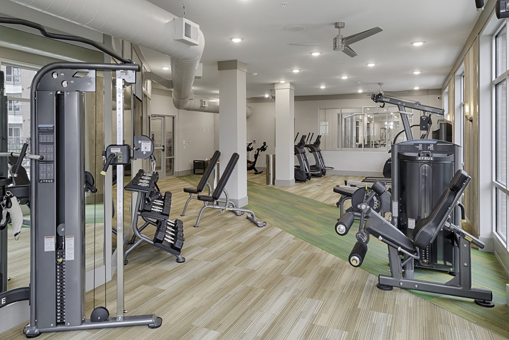 Fitness center with cardio and resistance training equipment; free weights