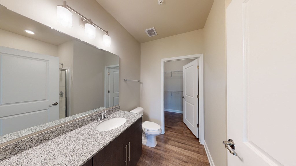 Bathroom with sink, toilet, shower and walk-in closet
