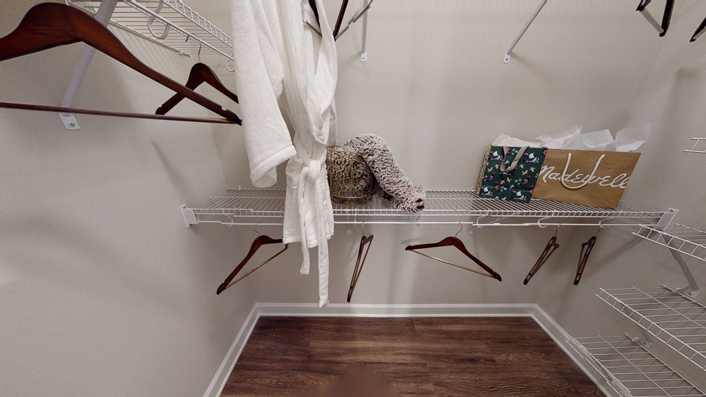 Walk-In Closet with multiple shelves