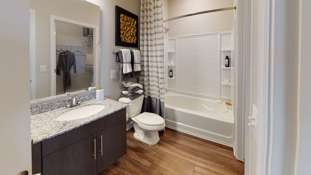 Bathroom with sink, toilet, and bathtub; vinyl plank floors