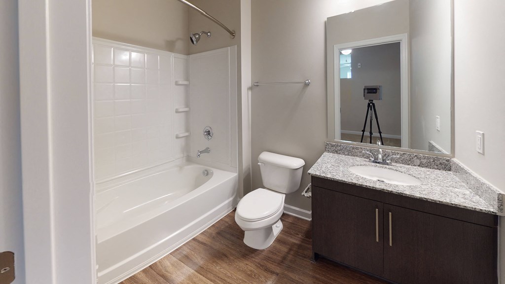 Bathroom with vinyl plank floors, bathtub and sink
