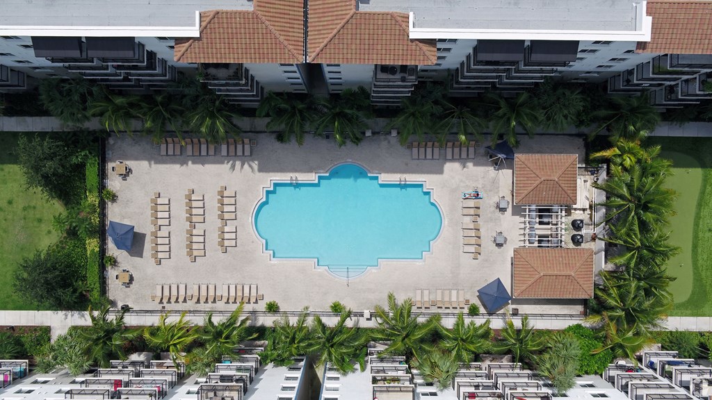 An aerial view of a swimming pool surrounded by palm trees