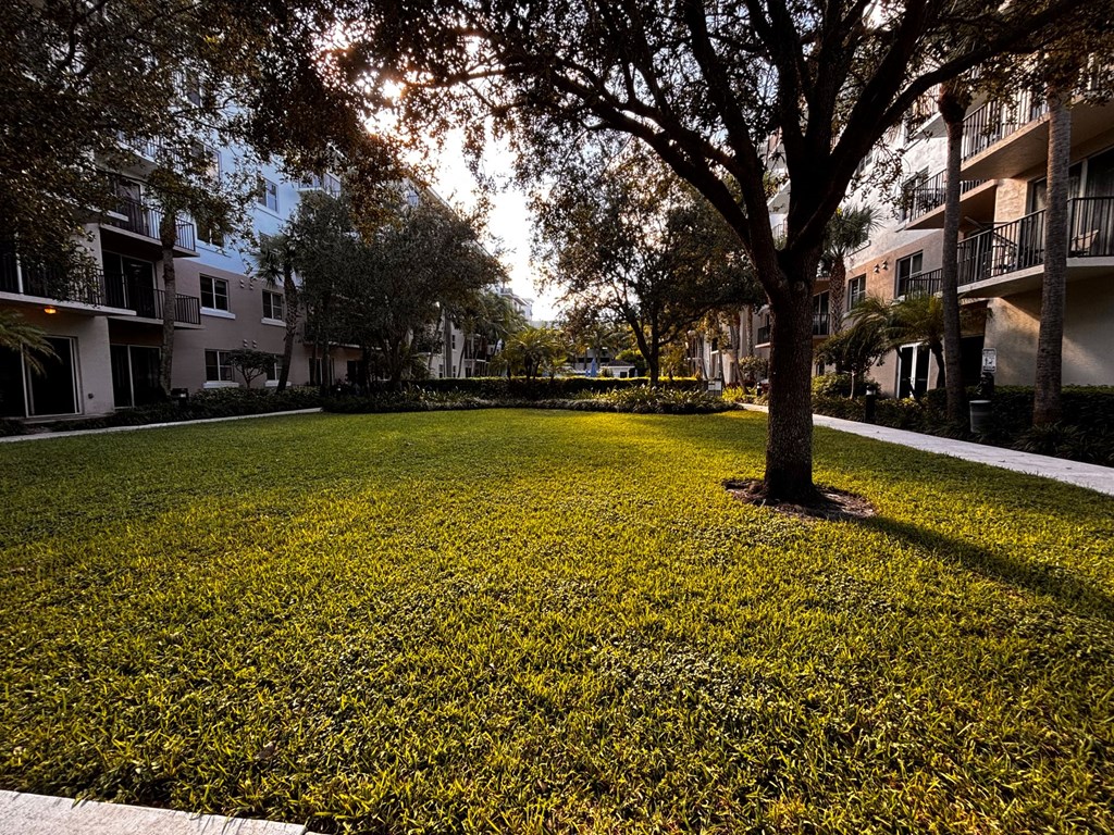 A tree stands in a grassy area in front of apartment buildings.