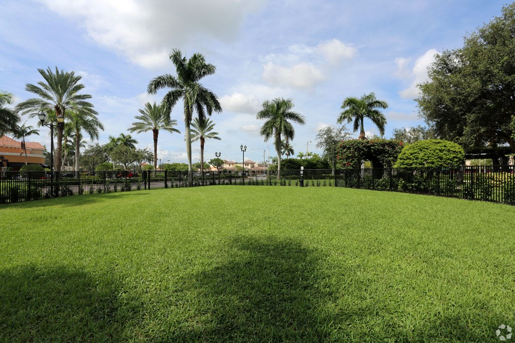 A dog park with palm trees in the background.