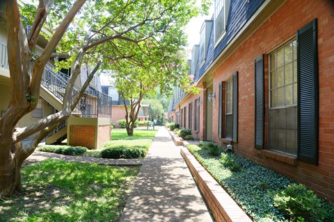 A tree-lined walkway between two rows of houses.