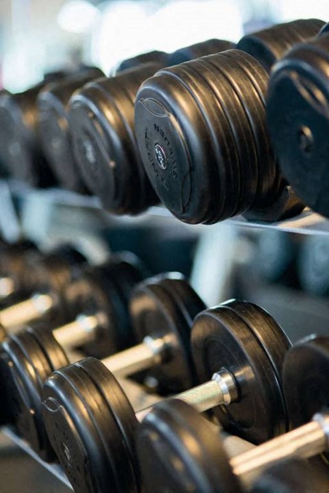 A set of dumbbells are lined up on a rack.