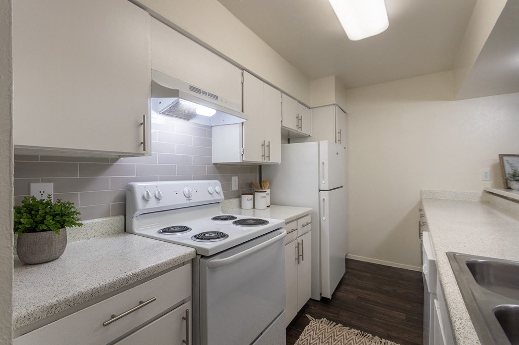 Modern Kitchen With Custom Cabinet at The Biltmore, Texas