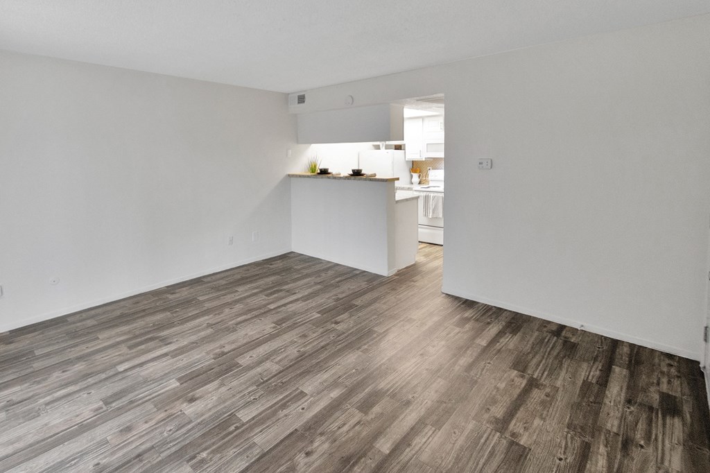 Vacant Living Area at Canyon Creek, Texas, 75230