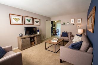 This is a photo of the living room of the 550 square foot 1 bedroom, balcony floor plan model apartment at College Woods Apartments in Cincinnati, OH. - Photo Gallery 1