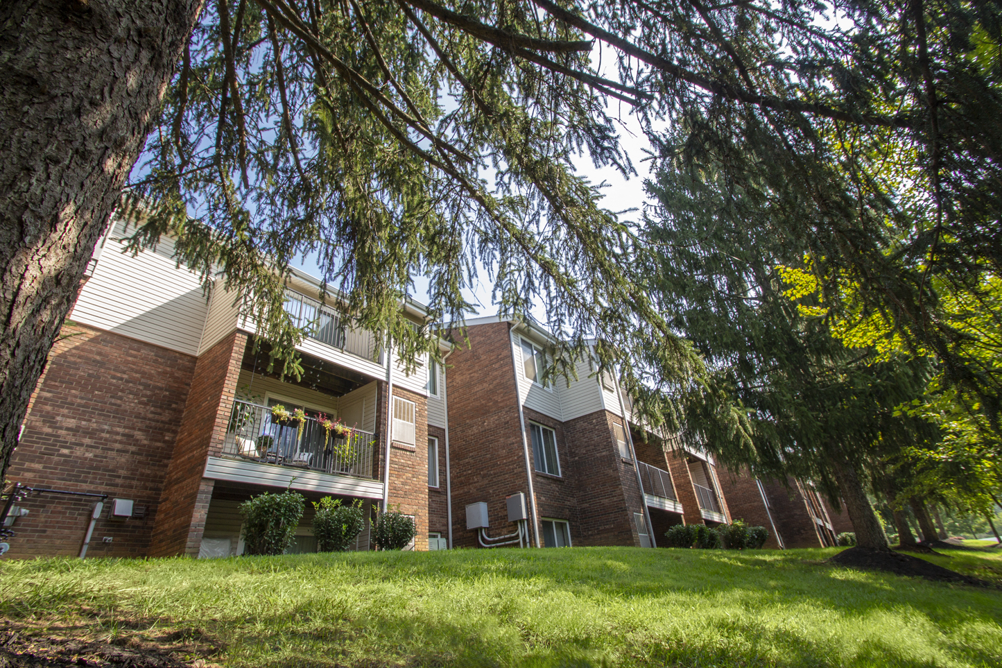 This is a picture of a balcony with plants at Deer Hill Apartments in Cincinnati, Ohio.