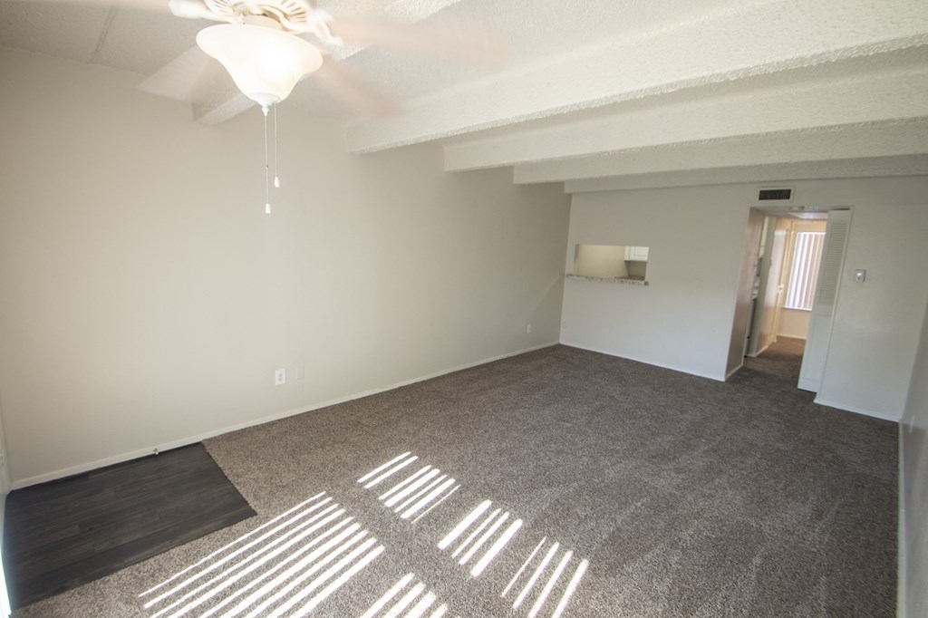 This is a photo of the living room in the 500 square foot 1 bedroom apartment at Harvard Square Apartments, in Dallas, TX.