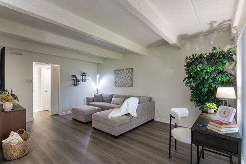 A living room with a grey couch and a white chair.