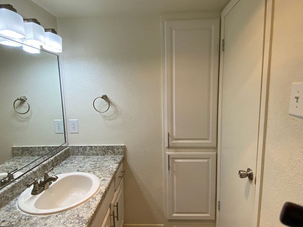a bathroom with a sink and a shower and a mirror