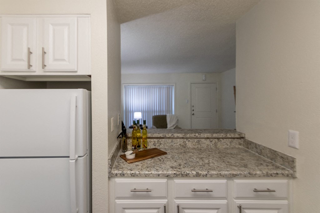 Granite Countertop at Princeton Court, Dallas