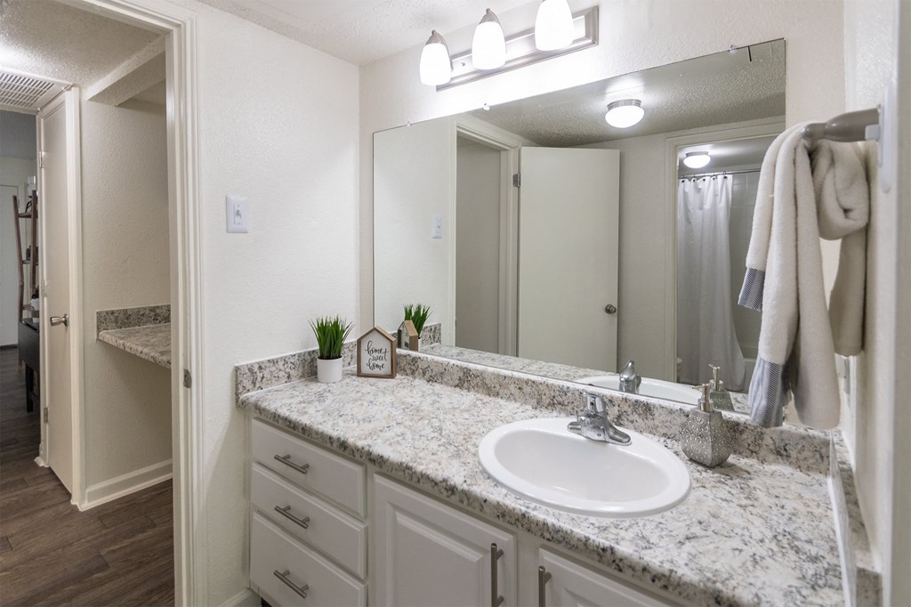 Upgraded Bathroom Fixtures at Princeton Court, Dallas, TX