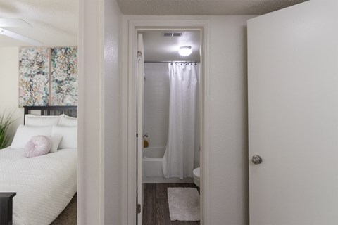 Model Bathroom at Princeton Court, Dallas, Texas
