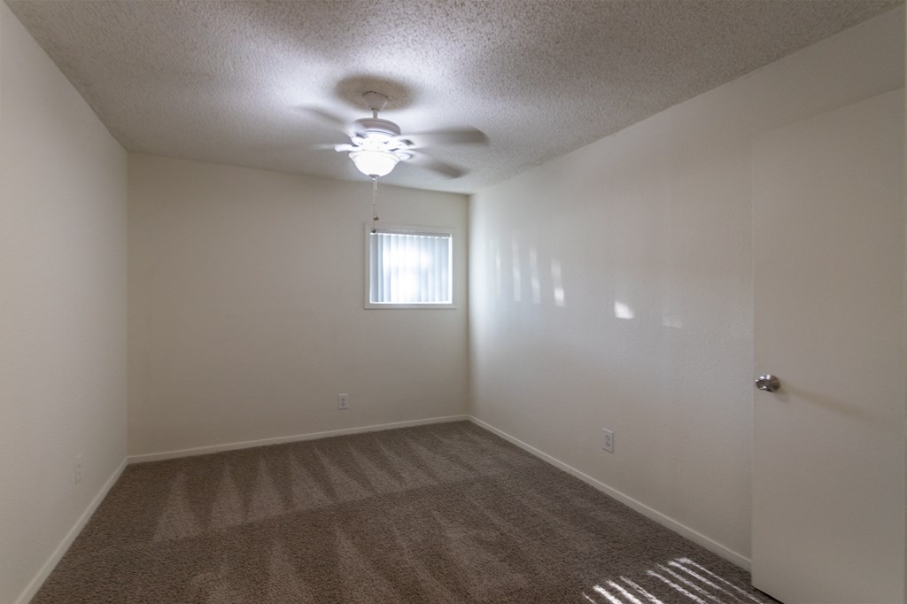 Master Carpeting at Princeton Court, Dallas, 75231