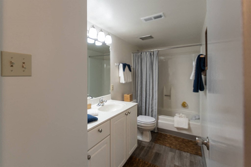Master Bathroom at Village East, Franklin, OH, 45005