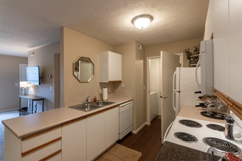a kitchen with a stove and a sink and a refrigerator