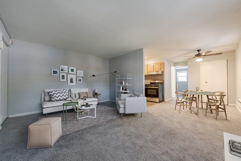 A living room with a white couch and a grey rug.