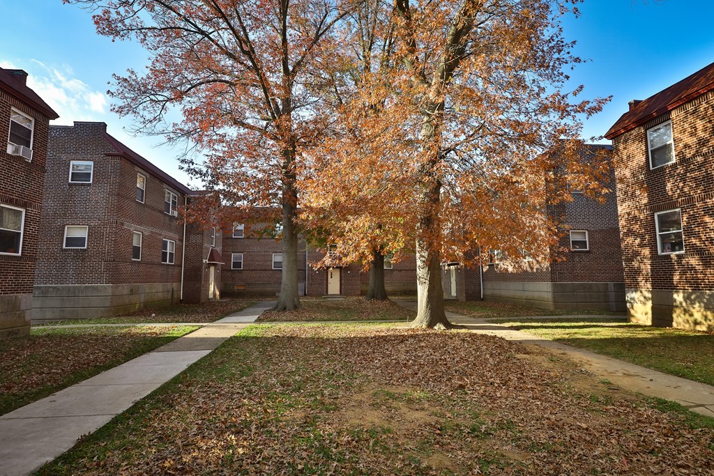 Courtyard Lawn at Lawndale Apartments, Philadelphia, 19111