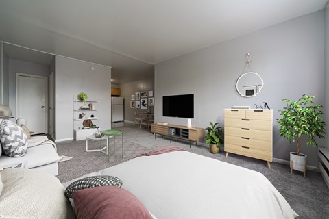 A modern bedroom with a large bed and a flat screen TV.