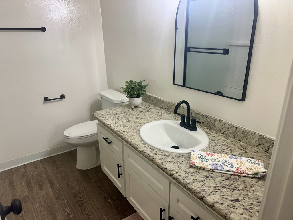 A bathroom with a sink, toilet, and mirror.