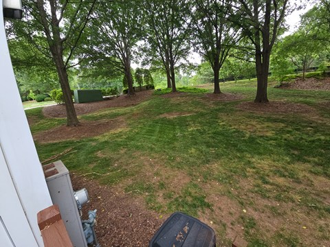 A black suitcase sits on a patch of dirt in a yard.
