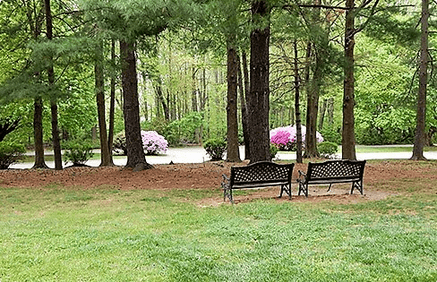 two park benches and a picnic table in a park