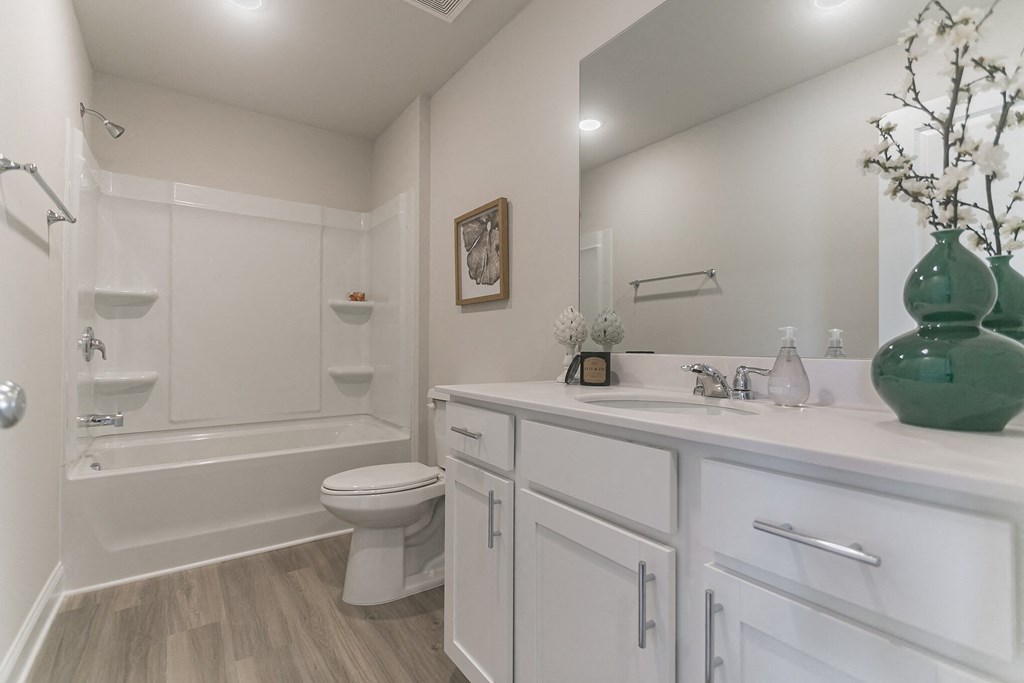 a bathroom with a sink and a toilet and a bath tub