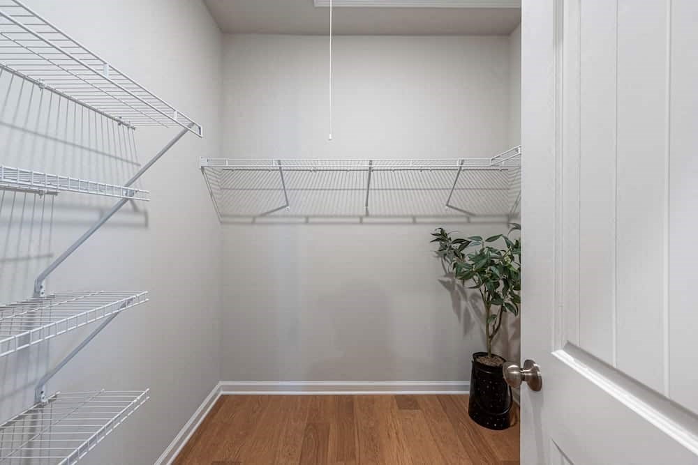 A small room with a potted plant and a door.