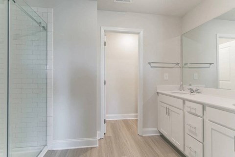 a bathroom with a sink and a shower and a mirror