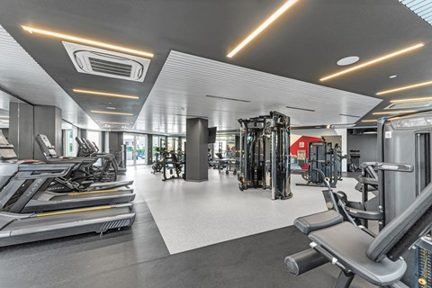 A well-lit gym with treadmills, weights, and other exercise equipment.