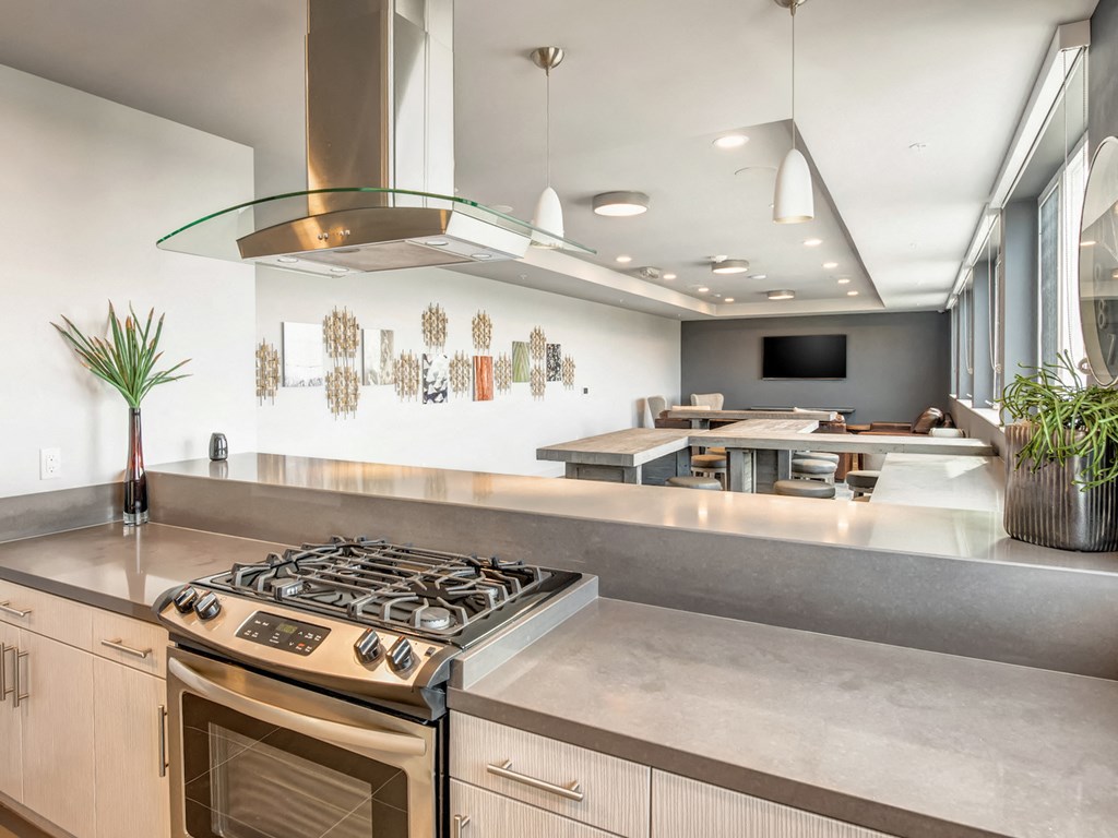 A modern kitchen with a stove top oven and a range hood.