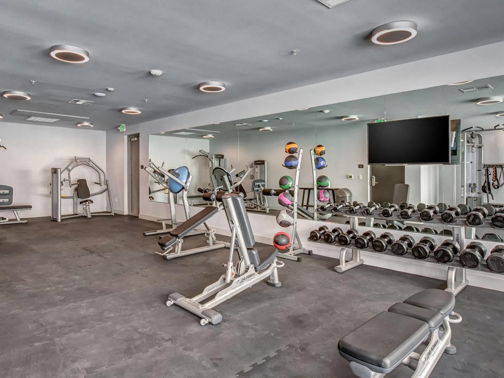 A gym with a variety of equipment including dumbbells, weight plates, and a flat screen TV.